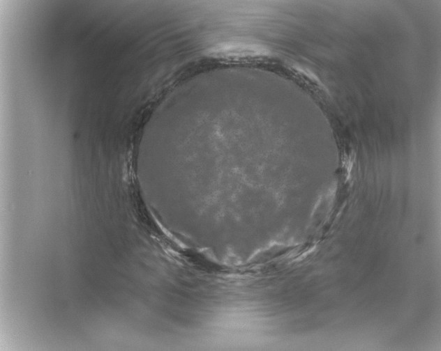 X0000072540965200608111808