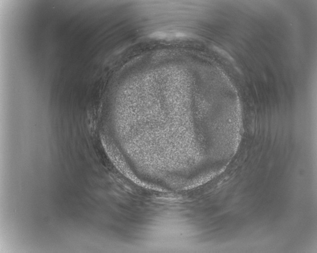 X0000072540966200608111808