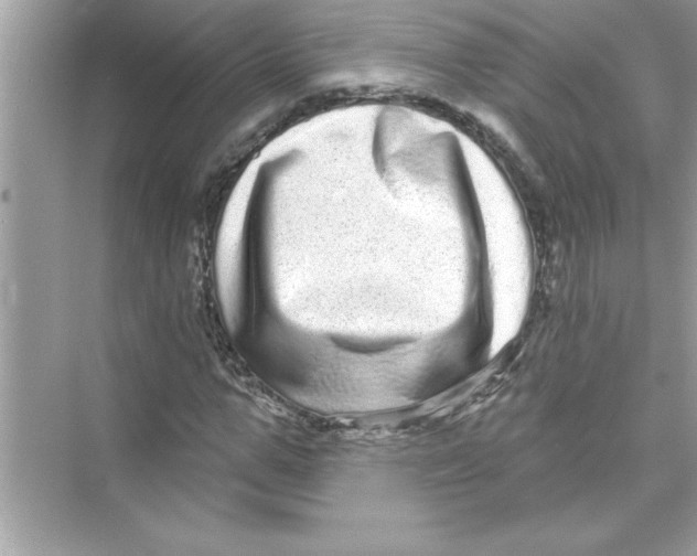 X0000072540967200608111808