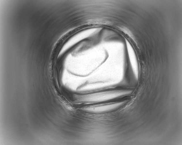 X0000072540971200608111808