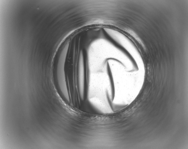 X0000072540972200608111808