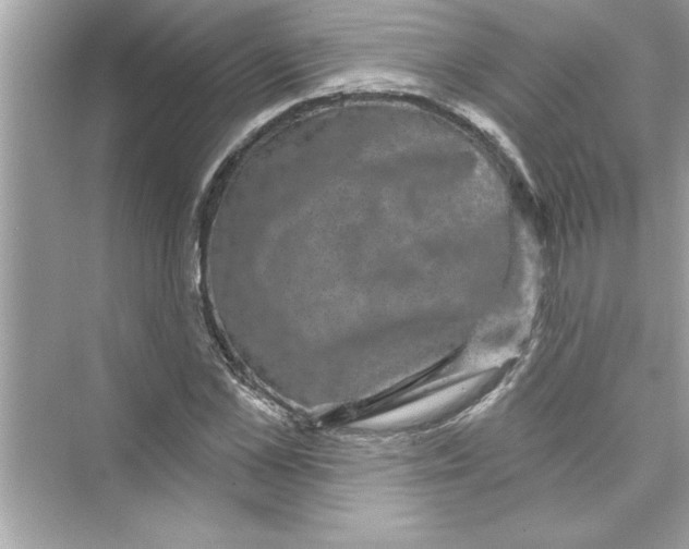 X0000072540973200608111808