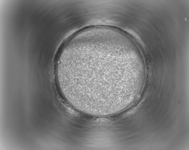 X0000072540974200608111808