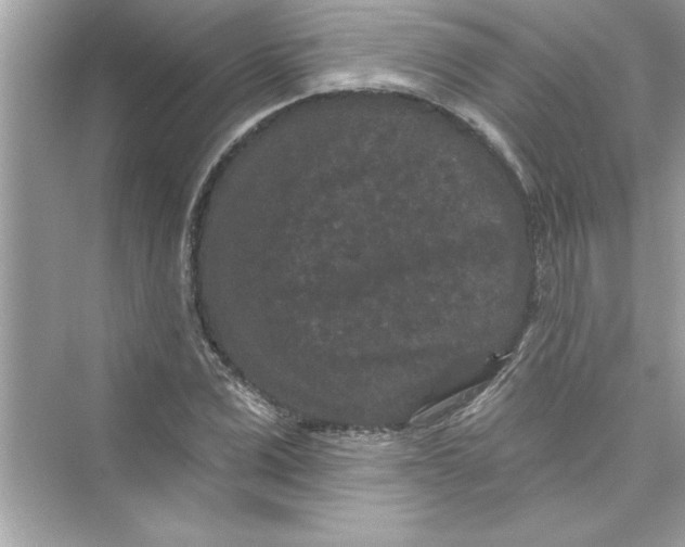 X0000072540975200608111808