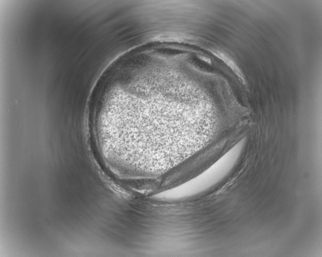 X0000072540976200608111808