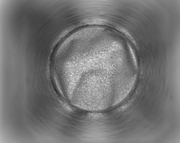 X0000072540978200608111808