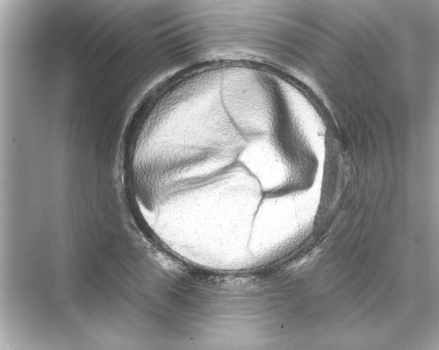 X0000072540979200608111808