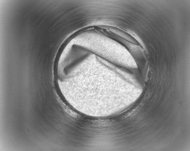 X0000072540980200608111808