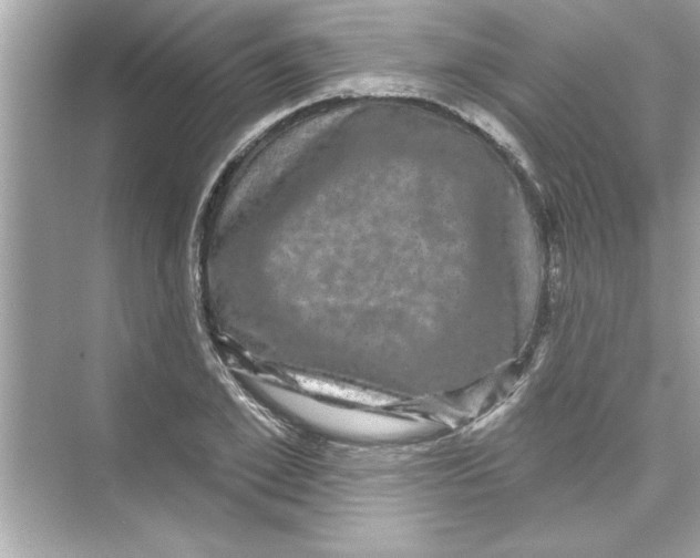 X0000072540981200608111808