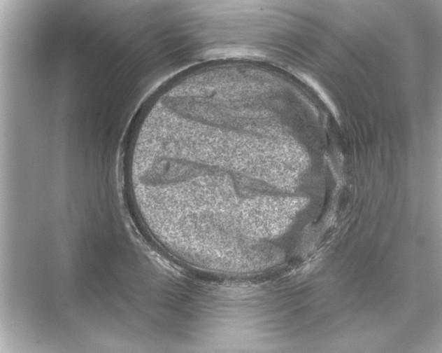 X0000072540983200608111808