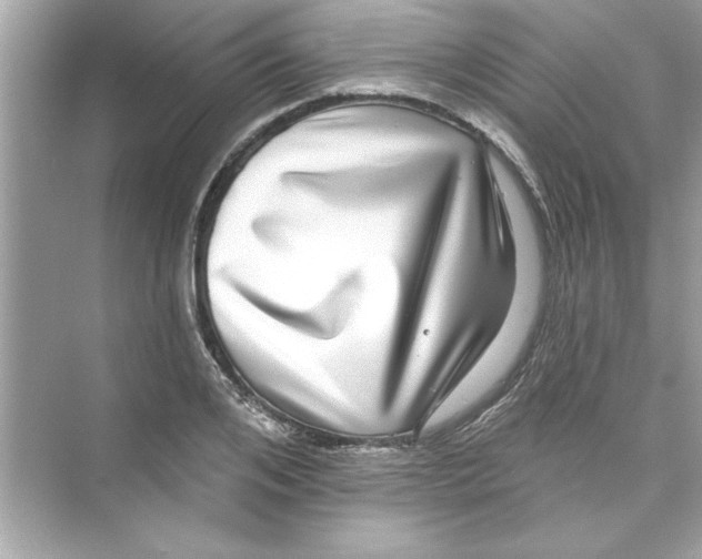 X0000072540984200608111808