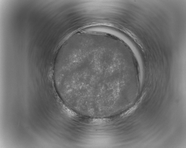 X0000072540985200608111808