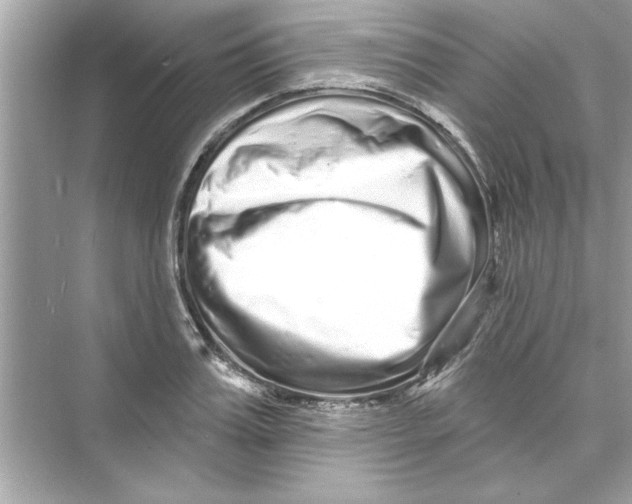 X0000072540987200608111808