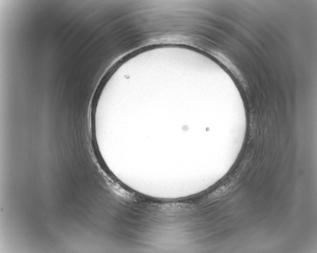 X0000072540988200608111808