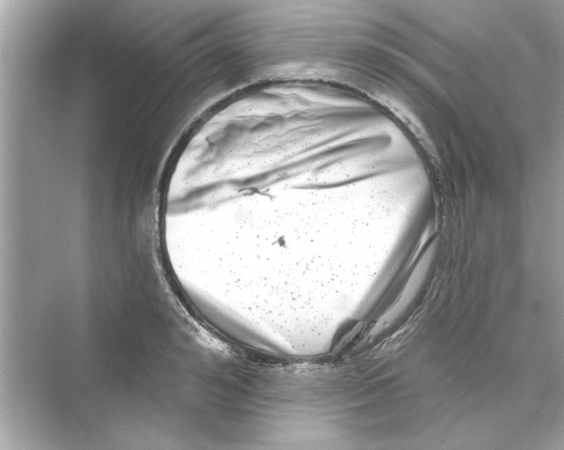 X0000072540992200608111808