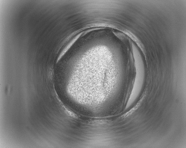 X0000072540993200608111808