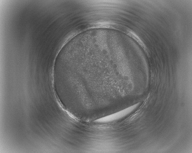 X0000072540994200608111808