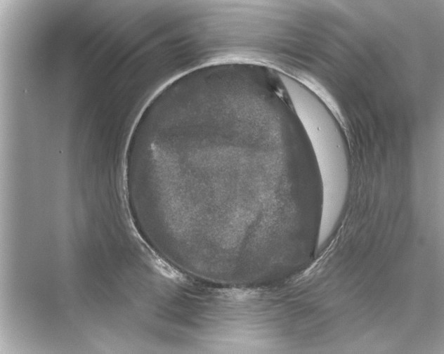 X0000072540996200608111808