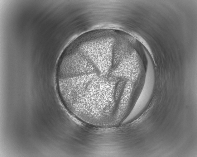 X0000072540997200608111808