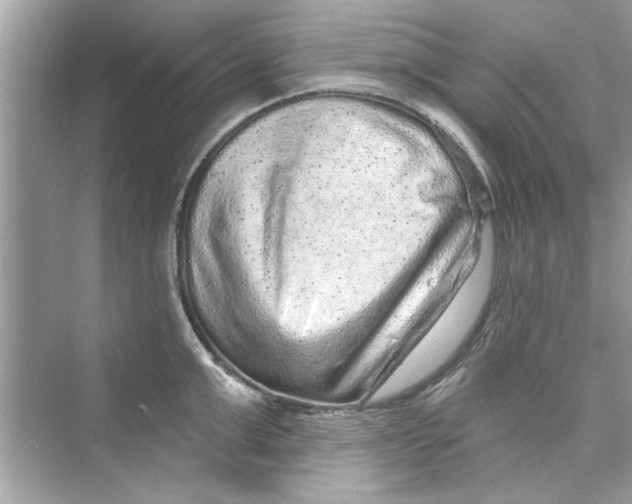 X0000072540999200608111808