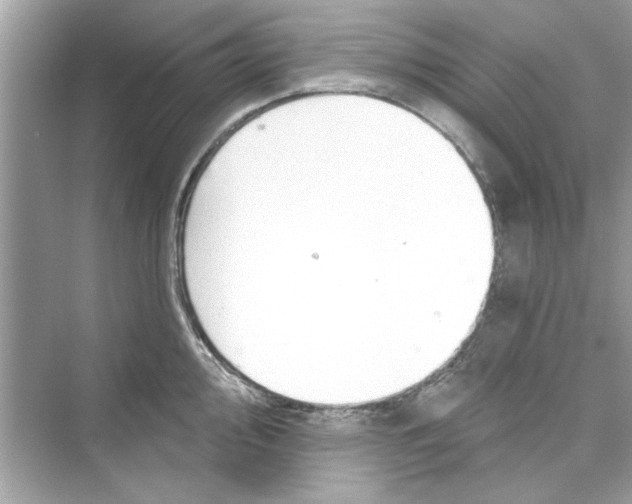 X0000072541000200608111808