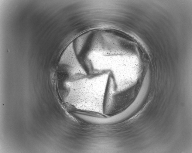 X0000072541001200608111808