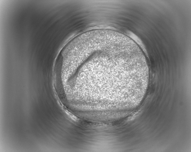 X0000072541002200608111808