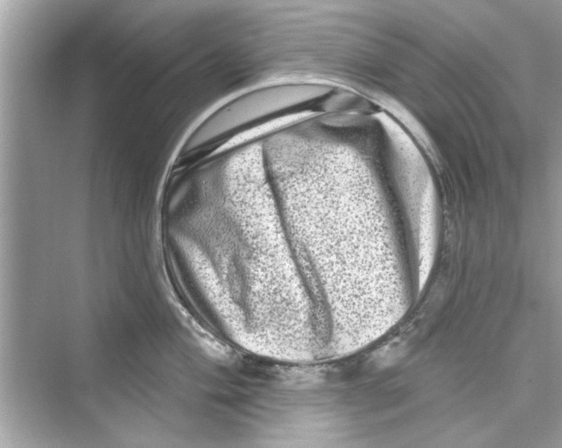 X0000072541004200608111808