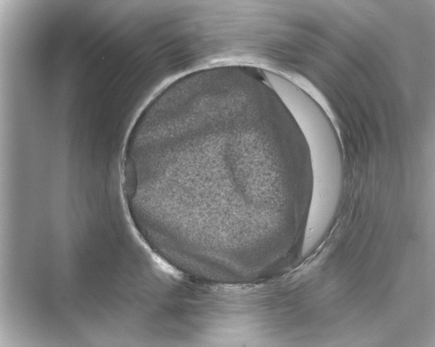 X0000072541005200608111808