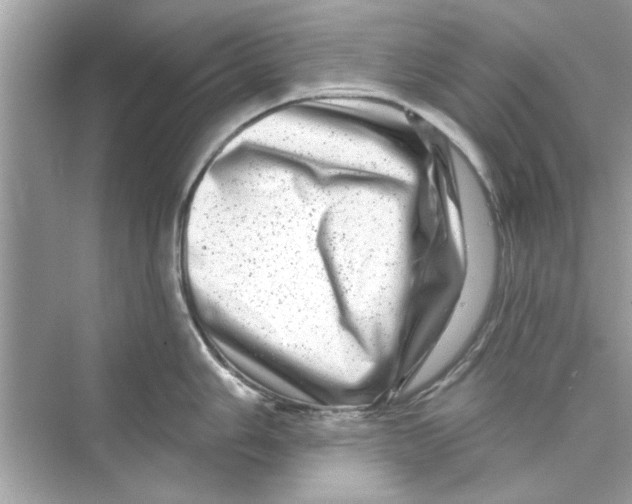 X0000072541006200608111808