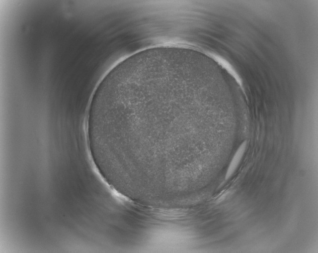 X0000072541007200608111808