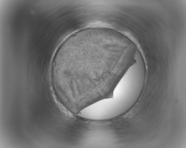 X0000072541008200608111808