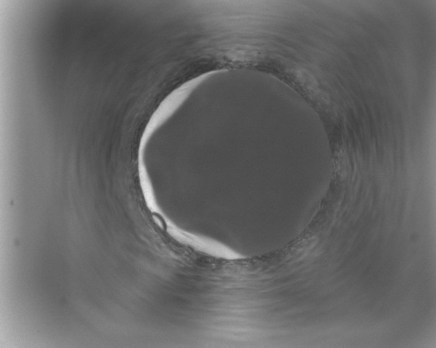 X0000072541009200608111807