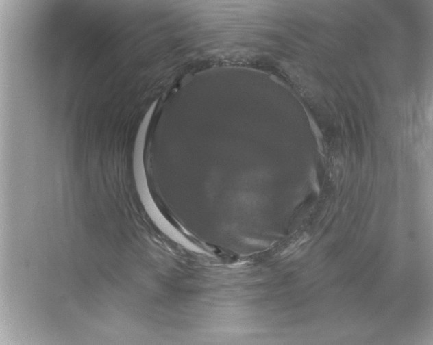 X0000072541010200608111807