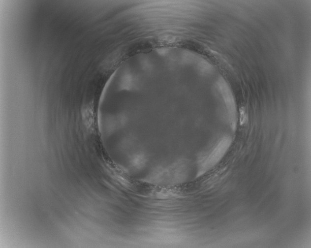 X0000072541011200608111807