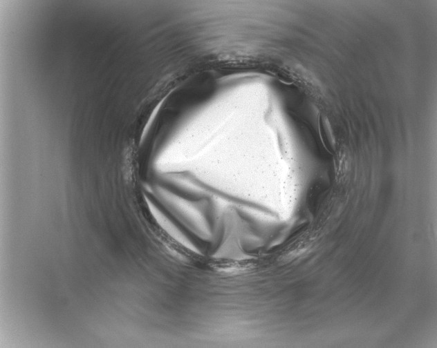 X0000072541012200608111807