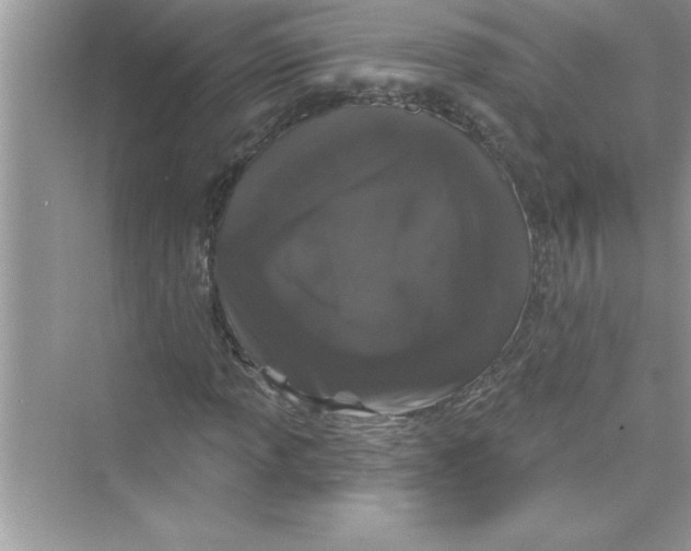 X0000072541013200608111807