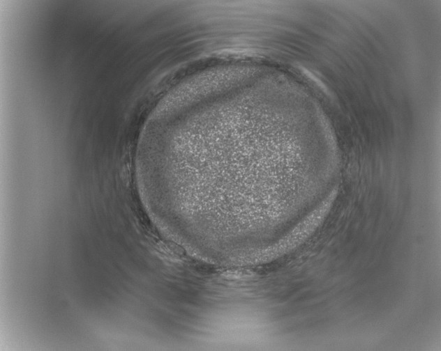 X0000072541015200608111807