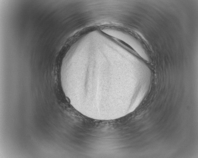 X0000072541016200608111807