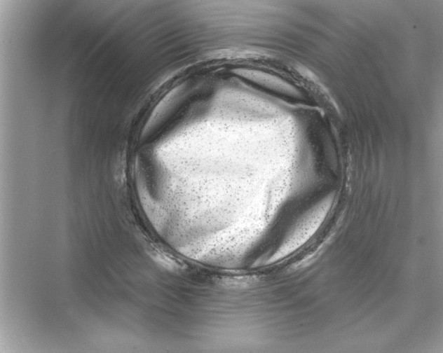 X0000072541017200608111807