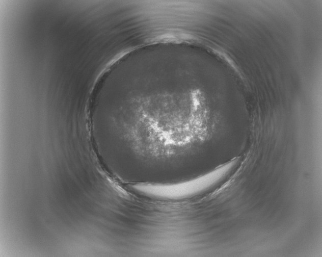 X0000072541018200608111807