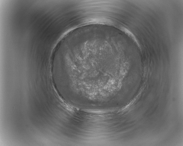 X0000072541019200608111807