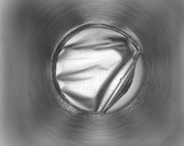 X0000072541020200608111807