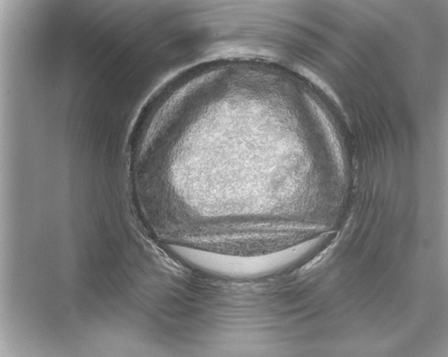 X0000072541021200608111807