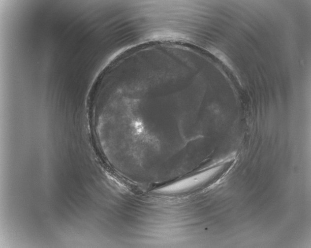 X0000072541022200608111807