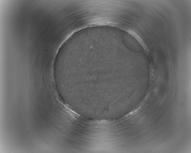 X0000072541023200608111807