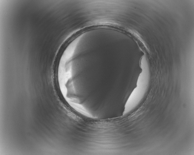 X0000072541024200608111807