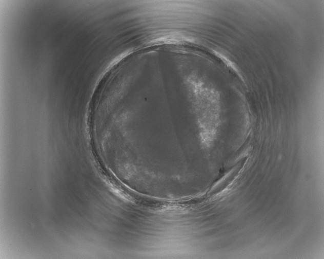 X0000072541026200608111807