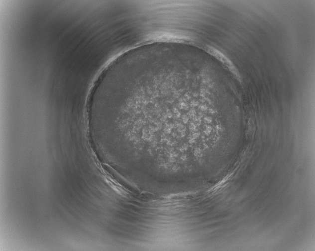 X0000072541027200608111807