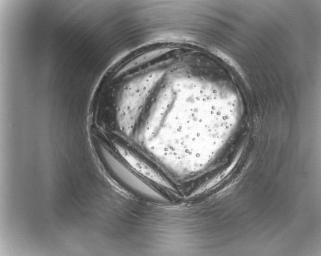 X0000072541029200608111807